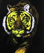 Tiger Tiger (Blacklight Poster) Merch