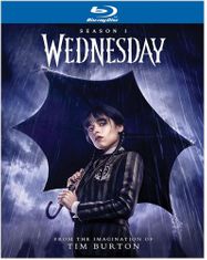 Wednesday: The Complete First Season (BLU)