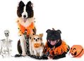 Howl-o-ween Dog Costume Contest at Amoeba Hollywood October 31st