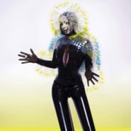 Björk, Vulnicura (LP)