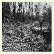 Topographies, Interior Spring (LP)