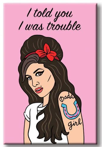 Amy Winehouse - I Told You I Was Trouble (Magnet)