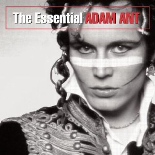 Adam Ant - The Essential (CD) - Amoeba Music