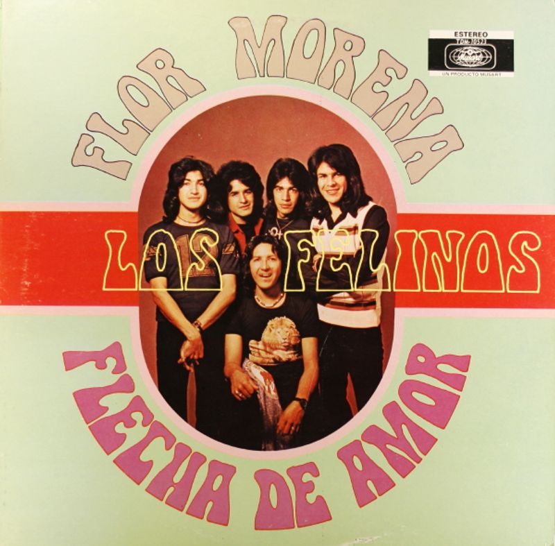 Los Felinos - Flor Morena Flecha De Amor (Vinyl LP) - Amoeba Music
