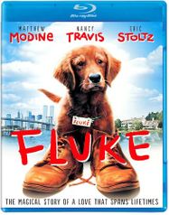 Fluke [1995] (BLU)